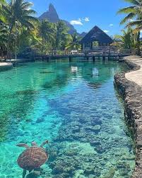 Bora Bora ,French polynesia